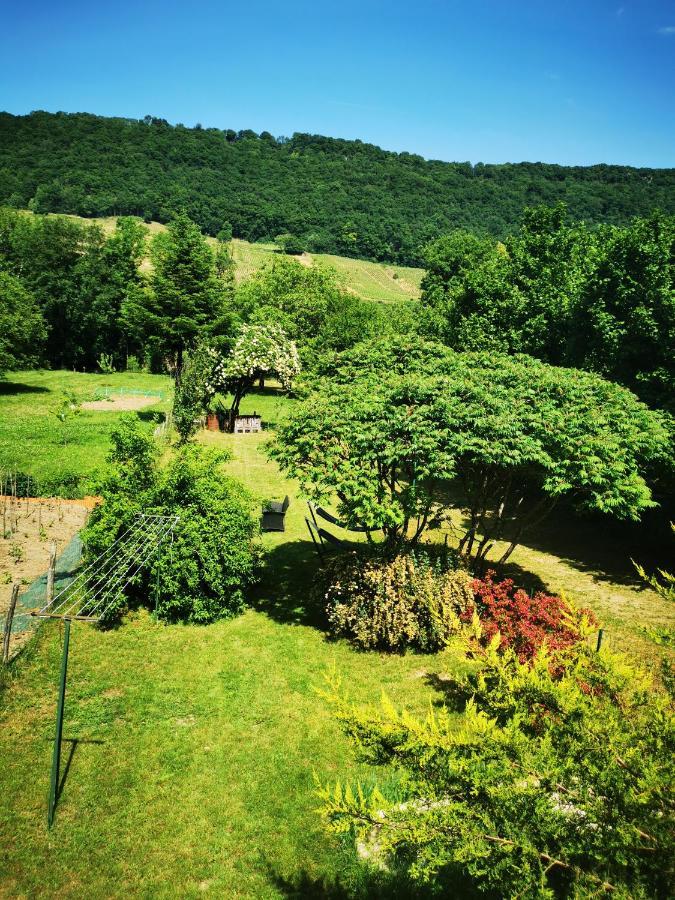 Nevy-Sur-SeilleAu Bord De Seille别墅 外观 照片